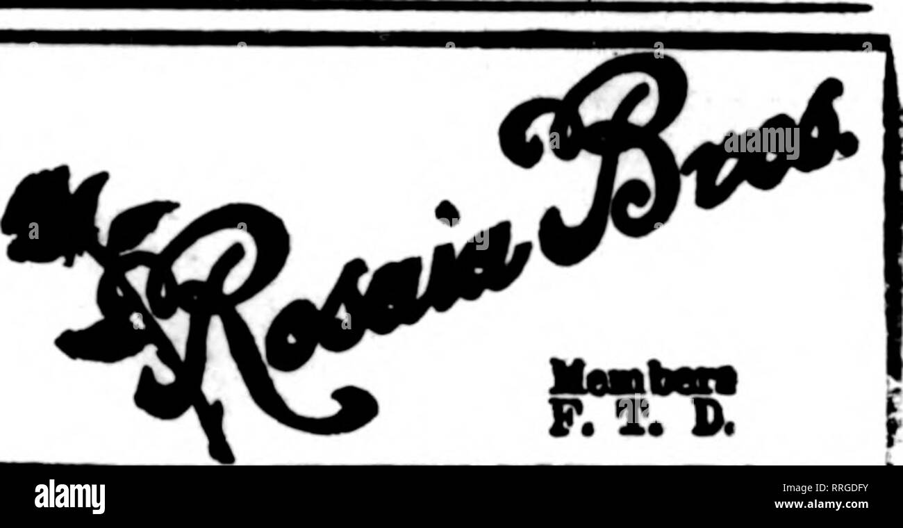 . Fioristi' review [microformati]. Floricoltura. Woodlawn negozio di fiori gli Stati fioristi' Telegrafo Associazione consegna, 1410-1412 2° Avenue-accanto al teatro Clemmer Edificio "NEL CUORE DELLA CITTÀ DI BASE" il destinatario dei vostri ordini Telegrafico sul merito 21 DIPENDENTI CHARLES E. SULLIVAN, responsabile del servizio telegrafico offriamo unexcelled strutture. Più di 13.000 piedi quadrati di spazio dello store dedicato esclusivamente al re- tailing di fiori. Dove la qualità di servizio e di regnare. SFATTI F giardini di Hollywood Stati fioristi' Consegna del telegrafo ass'n. SEATTLE LEADER FIORAIO 1622 Second Avenue Foto Stock