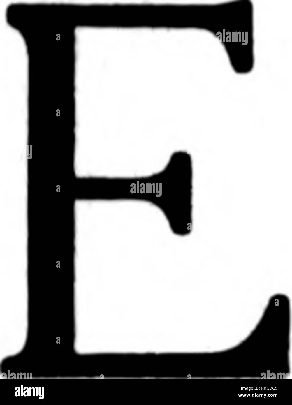 . Fioristi' review [microformati]. Floricoltura. Woodlawn negozio di fiori gli Stati fioristi' Telegrafo Associazione consegna, 1410-1412 2° Avenue-accanto al teatro Clemmer Edificio "NEL CUORE DELLA CITTÀ DI BASE" il destinatario dei vostri ordini Telegrafico sul merito 21 DIPENDENTI CHARLES E. SULLIVAN, responsabile del servizio telegrafico offriamo unexcelled strutture. Più di 13.000 piedi quadrati di spazio dello store dedicato esclusivamente al re- tailing di fiori. Dove la qualità di servizio e di regnare. SFATTI F giardini di Hollywood Stati fioristi' Consegna del telegrafo ass'n. SEATTLE LEADER FIORAIO 1622 Second Avenue Foto Stock