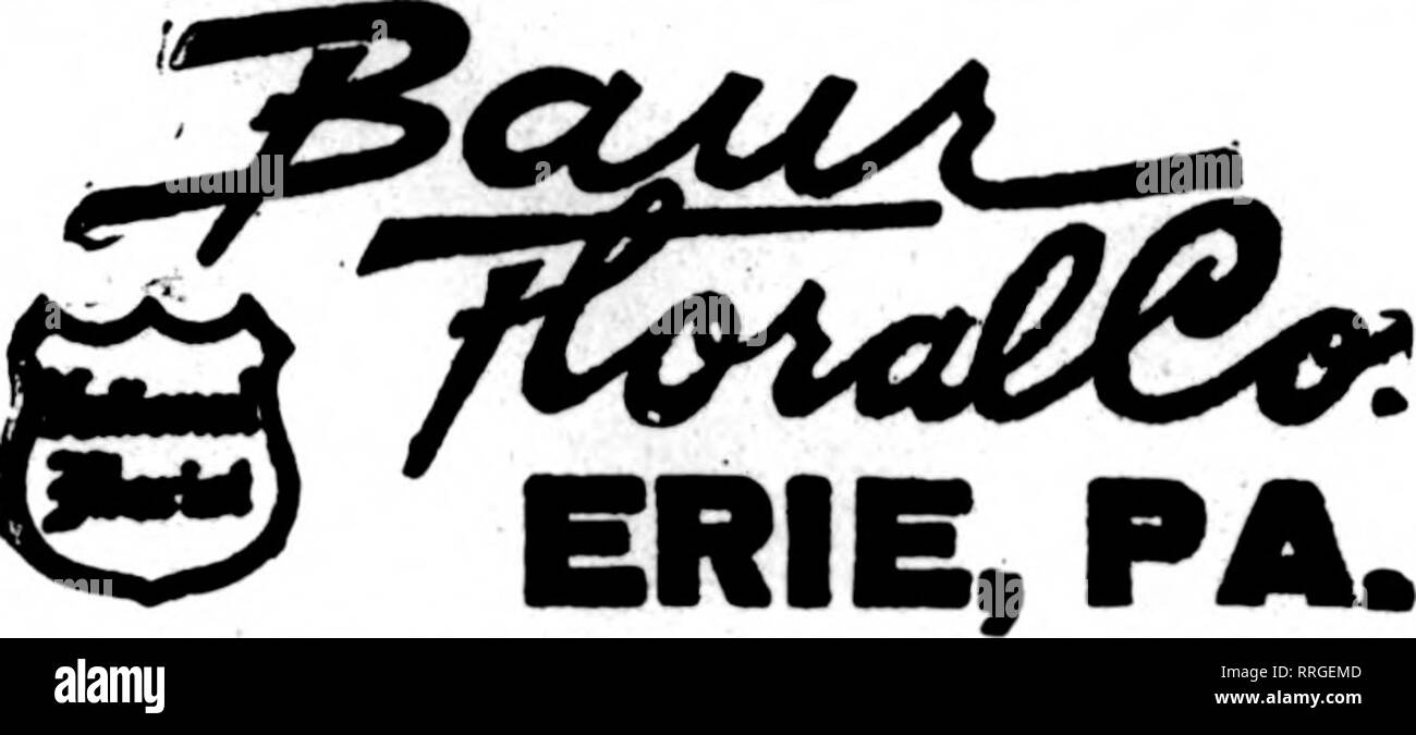 . Fioristi' review [microformati]. Floricoltura. SAN ANTONIO, TEX. La vostra carta di credito è buono con noi per fiori recisi e fiori OFFERTE GLI STATI F. T. D. verde, il fioraio Avenue C alla ottava strada J. V. STRATO ERIE, PA. Scrivere, telefono orWiiCT^^"SS".'^. Erie, Pa. Charles G. Offerle 2408 Poplar Street New Kensington, Pa. McRAE-JENKINSON CO, MflmbOT Florista' Tdegnph 0"Uvenr membri fioristi' Consegna del telegrafo ass'n EVENDEN BROS. Coltivatori più grande nel centro di t-ennaylvania. Williamsport, Pa. Nomstown e Conshohocken WILUS H. BALDWIN CONSHOHOCKEN. PENNA. WARREN, PA. C.^ ^ . 1 ITl r* J SHBRM OFFERLE. rescent rl Foto Stock