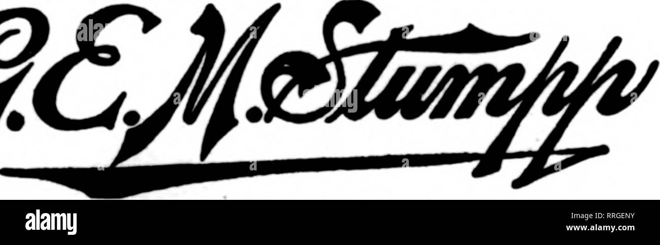 . Fioristi' review [microformati]. Floricoltura. Il Self-Satisfied Self-Seller conoscere la differenza tra essere soddisfatto ed essendo contenuto ? Un mezzo di un uomo è contenuto con le cose così come sono. Per rendere molto più di un cambiamento significa cambiare troppo, che è troppo fastidiosa per noie con.; l'altro tipo di un uomo è soddisfatto tolbe contenti e felici con la miglior cosa che possono fare adesso; ma mai il contenuto di rimanere soddisfatti con le cose che non sono soddisfacenti. Abbiamo usato per avere uno dei primo tipo lavoro per noi. Egli aveva callosità sul suo pollice, facendoli aderire nel suo giubbotto, e dire a tutti noi, especia Foto Stock