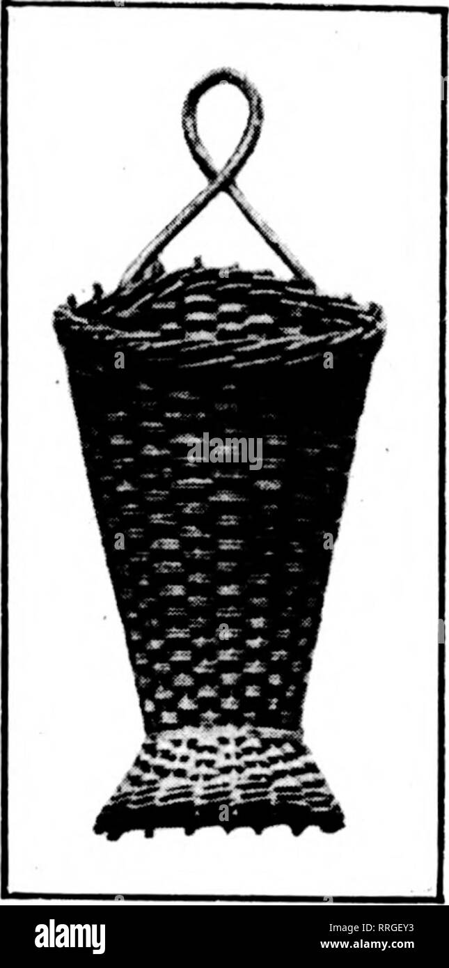 . Fioristi' review [microformati]. Floricoltura. 64 i fioristi^ Review JONB 17, 1920. m B B B B B ? ?. Il "McCalium" Wall Pocket correttamente progettato e ben fatta - soddisfa la domanda di un utile alla presa a muro per fiori, vigne, spray, ecc. Un numero di famose in linea completa di McCalium reed e willow cesti. Essi sei proprio perché sono fatti proprio nella nostra fabbrica da molto abili tessitori di cestello. No. 331 |^|-| '^'^l "Questo gruppo reed tasca a parete o cestello misure *^^ * *^*-'"*• 1() pollici ad alta; larghezza di apertura di 6 pollici. Prezzo, fin- ished in due-tono, $20.50 p Foto Stock