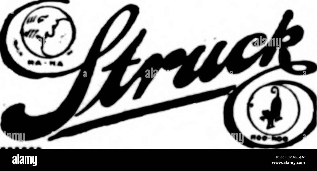 . Fioristi' review [microformati]. Floricoltura. Letto King diviso, Tee con viti di fermo. Materiale a effetto serra coltivatori di successo in tutte le parti del paese sono utilizzando il materiale fornito da noi. Massima qualità di Red Golfo Cypress utilizzati, prezzi ragionevoli e tutti gli ordini sono oggetto di particolare attenzione. Le stime e i bozzetti presentati gratis su richiesta. Ottenere i nostri prezzi sul materiale di cui avrete bisogno per il vostro nuovo serra. Scorta completa di focolaio anta, singoli e doppi vetri, pronti per l'' supervisore diretto diate spedizione; anche punti di smaltatura, Permanite, ecc. ALFRED COLPITO Company, Inc. ' Stabilito 1860 948 E. Broadway LOUISV Foto Stock