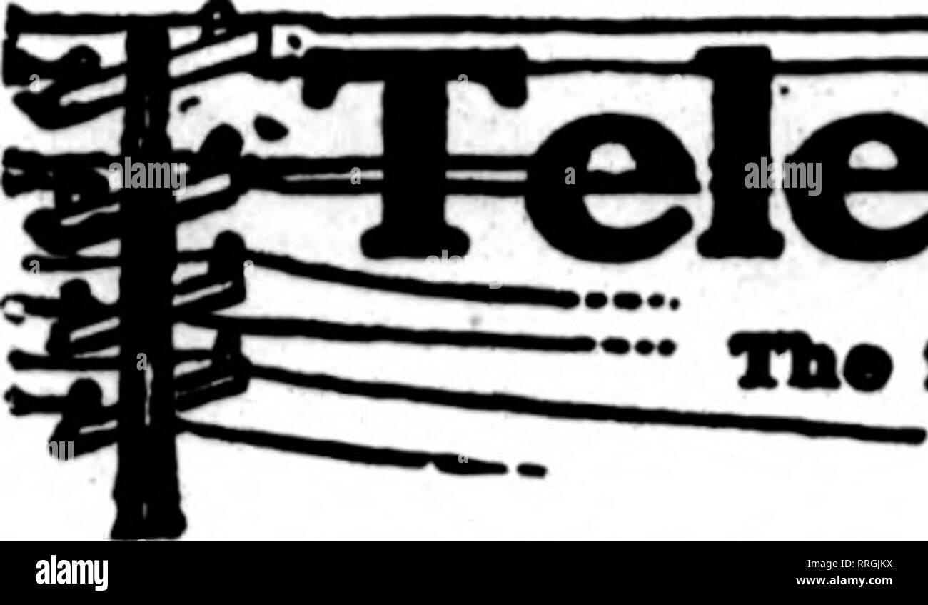 . Fioristi' review [microformati]. Floricoltura. 88 i fioristi' Riesaminare JuNB 3, 1920. Si prega di notare che queste immagini vengono estratte dalla pagina sottoposta a scansione di immagini che possono essere state migliorate digitalmente per la leggibilità - Colorazione e aspetto di queste illustrazioni potrebbero non perfettamente assomigliano al lavoro originale. Chicago : fioristi' Pub. Co Foto Stock