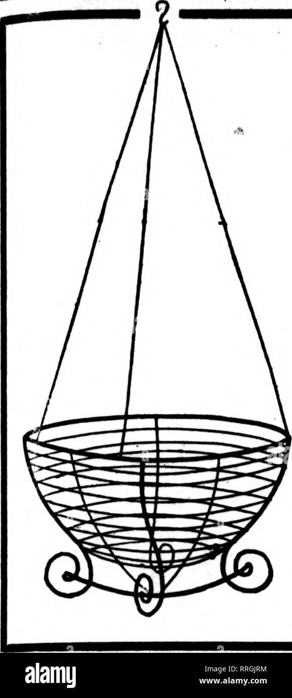 . Fioristi' review [microformati]. Floricoltura. Mabcb 18, 1920 i fioristi^ Rassegna 79. Filo nei cestini appesi ben fatta tipo. Dipinto, legate con filo zincato. 6 alla dozzina di tasso, 50 a 100 rate di 8 pollice a doz. $2.60 per 100 $18.00 20.00 26.00 27.50 36.00 60.00 10 pollici 3,00 12 pollici 3,50 14 pollici 4,00 16 pollici 5,00 18-iiich 7.60 FOGLIO VERDE MUSCHIO lungo, fogli verde per appendere cesti per sacchetto, $1.75; 10 sacchetti, $16.00 C. E. CRITCHELL, "SYSS-'io?*" Cmcinnati, Ohio 15 EAST Third Street. Si prega di notare che queste immagini vengono estratte dalla pagina sottoposta a scansione di immagini che possono essere state migliorate digitalmente Foto Stock