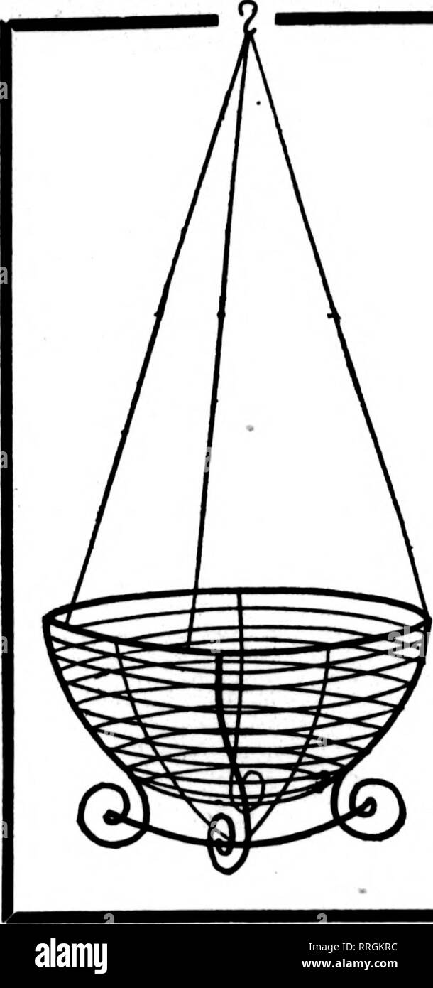 . Fioristi' review [microformati]. Floricoltura. Giugno 3, 1920. I fioristi' Riesaminare 45 M. filo nei cestini appesi ben fatta tipo. Dipinto, legate con filo zincato. 6 alla dozzina di velocità, 60 a 100 tasso Per doz. Per 100 8 pollici $2.50 $18.00 10 pollici 3.00 20.00 12 pollici 3.60 26.00 14 pollici 4.00 27.60 16 pollici 5.00 35.00 18 pollici 7.60 60.00 foglio verde NOSS lungo, fogli verde per appendere cesti per sacchetto, $1.75; 10 sacchetti, $16.00 C. E. CRITCHELL, ™S^SS}i¥*'^" Cmcinnati, Ohio è EAST Third Street menzionare il riesame quando scrivi .. Si prega di notare che queste immagini vengono estratte dalla pagina sottoposta a scansione immagini che m Foto Stock