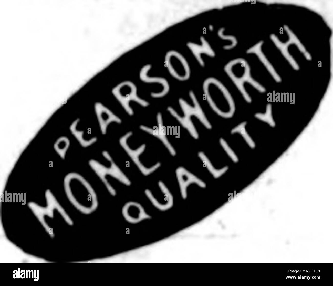 . Fioristi' review [microformati]. Floricoltura. Questa fotografia è stata presa il 28 dicembre 1919, e darà una buona idea di ciò che Amburgo rosa tardiva appare come quando è cresciuto a singoli steli e piantato sei pollici ogni modo. Amburgo rosa in ritardo verrà diffuso nella primavera del 1920. Le piante saranno pronti il 1 marzo. 1920, e a tutti gli ordini verranno evasi in rotazione. Radicata CuttingM (pacchi POAT), $16.00 per 100; SISO.00 per 1000 2 pollici potm {da express) - - $18.00 per 100; $160.00 per 1000 William F. KASTING COMPANY, S68-570 WASHINGTON ST BUFFALO, N. Y. Blooming e piante di Primavera a prezzi ridotti per W Foto Stock