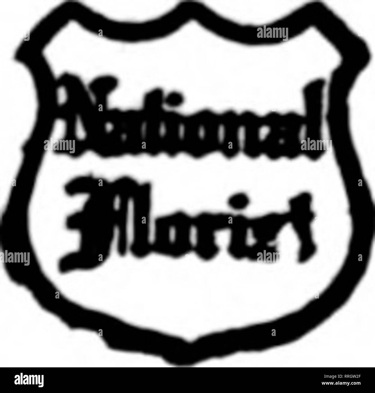 . Fioristi' review [microformati]. Floricoltura. Noi portiamo il grado più alto di fiori recisi di INVIARCI LA VOSTRA NUOVA YORK ordini adiacente a spettacoli teatrali e distretti Hotel Oriente arancio, N. J. O &gt;/ George Smhh &AMP; zolle O *"* .^ 6S7 StrMt principale EST ORANGE ^ Mapiewood, Glen Ridg* ^ e Bloomiield 4^f W* si trova nel centro ^ ^^ di theee citiee ^^ NEWARK, N. J. PHILIPS BROS. 938 BROAD STREET membri F. T. D. Tutti medio Stato e Seashore NEW JERSEY punti anj nordest della Pennsylvania città sono barbabietole raggiunto da TRENTON MARTIN C. LA NERVATURA8AM, fioraio stati V. T. D. Ampio e anteriore Sts. Stroudsburg, Foto Stock