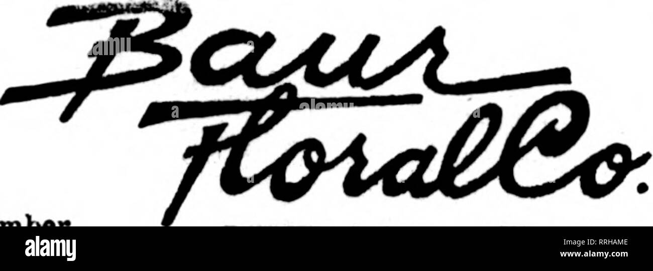 . Fioristi' review [microformati]. Floricoltura. SAN ANTONIO, TEX. ^^^^^^. -^^; il tuo credito è buono con noi per VTlvXiiXLiM , 1 OIL T lUribl FIORI RECISI E OFFERTE FLOREALI Avenue C alla ottava strada J. V. STRATO ERIE, PA. Scrivere, telefono orWircT'S^S^h'SSSS;. Gli Stati F. T. D. ERIE, PA. Erie, Pa. Charles G. Offerle 2408 Poplar Street New Kensington, Pa. McRAE-JENKINSON CO, Uamber Floriati' Tdccntph DaUTery membri fioristi' Consegna del telegrafo ass'n. EVENDEN BROS. Coltivatori più grande nel centro di r-ennsyivanim. Williamsport, Pa. Nomstown e Conshohocken WILUS H. BALDWIN CONSHOHOCKEN. PENNA. WARREN, PA. n . CT Foto Stock