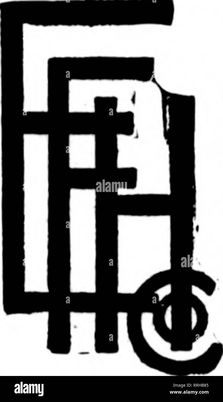 . Fioristi' review [microformati]. Floricoltura. Leader CINCINNATrS FIORAIO STATI F. T. D. ^^V^residui ILW^ CiM&GT;v^ 138-140 East Fourth Street Prkpakee abbondantemente in tutti i tempi Edwards Floral Hall Company 17ie Pacific Avenue Atlantic City, New Jersey Vivai: Mediterranear ^e Carolina del Sud Aves Uember fioristi' Consegna del telegrafo ass'c. PATERSON M T PASSAIC New Jersey EDWARD SCEERY Stati fioristi' Telegraph Assn. consegna tutti i medio Stato e Seashore NEW JERSEY punti e nordest della Pennsylvania città sono beat raggiunto da TRENTON MARTIN C. RUiSAM, fioraio stati F. T. D. Ampio e anteriore Sts. Foto Stock