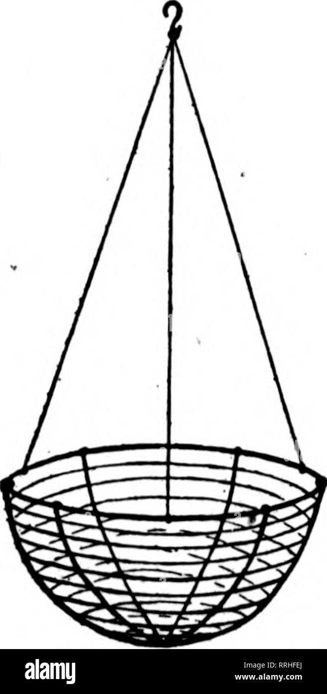 . Fioristi' review [microformati]. Floricoltura. 98 i fioristi^ Rassegna Mat 20, 1820. Esso/ '^ mi* [?I B. "McCallum" appeso un cestello fortemente realizzato correttamente progettato ricettacolo che darà un lungo servizio. È chiaro, senza fronzoli o progetto- ing i fili per la cattura su altre cose attraverso il contatto. Tutti Hand-Made - verde smaltato %^- ? V FANCY fNATURAI iGREEN dimensione Per Doz. 8 pollici $1.75 10 pollici 2,00 12-iDch 2,75 Per dimensione lorda per Doz. Al lordo di $19.25 14 pollici 3,50 $ $38.50 22 00 16 pollici 5.60 60.50 30.25 18 pollici 7.00 77.00 Verde muschio di registro di migliore qualità Blue Ridge Mountain Log Moss, .grande Foto Stock