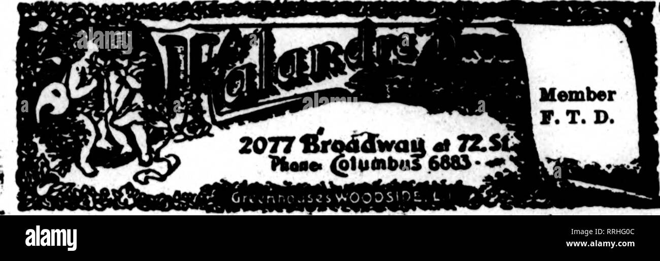 . Fioristi' review [microformati]. Floricoltura. Noi portiamo il grado più alto GF FIORI RECISI di inviarci il vostro nuovo. YORK ORDINI ADIACENTE ALLA jJ^HEATRICAL e distretti Hotel Oriente arancio, N. J. O^ George Smith &AMP; figli ^, 0- 857 Principali Str""t est ORANGE Maplewood, Clcn Ridge e Bloomfield W" ftre loeated nel centro di thebe citiet NEWARK, N. J. PHILIPS BROS. 938 BROAD STREET membri F. T. D. Tutti medio Stato e Seashore NEW JERSEY punti e nordest della Pennsylvania città sono barbabietole raggiunto da TRENTON MARTIN C. RIBSAM. Fioraio - Membro F. T. D. Ampio e Frorft BTS. •Stroudsburg, Pa. Boonton, N. Foto Stock