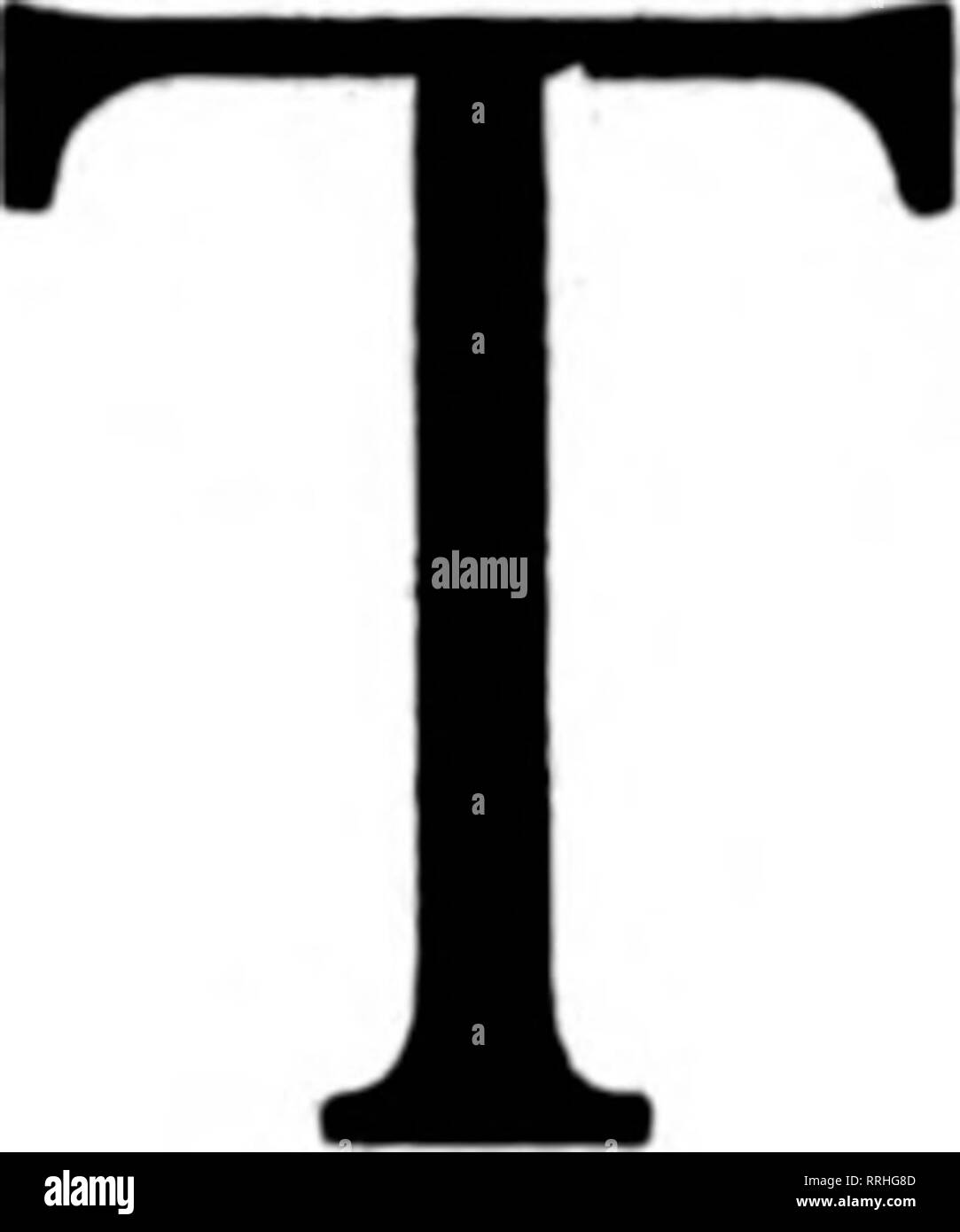 . Fioristi' review [microformati]. Floricoltura. Woodlawn negozio di fiori 1410-1412 2nd Avenue-accanto al teatro Clemmer edificio " NEL CUORE DELLA CITTÀ DI BASE" il destinatario dei vostri ordini Telegrafico sul merito offriamo unexcelled strutture. Più di 13.000 piedi quadrati di spazio dello store dedicato esclusivamente al re- tailing di fiori. Dove la qualità di servizio e di regnare. 21 DIPENDENTI CHARLES E. SULLIVAN, responsabile del servizio telegrafico SRATTI F giardini di Hollywood Stati fioristi' Consegna del telegrafo ass'n. SEATTLE LEADER FIORAIO 1622 Second Avenue Bellmgham,Washington. Telegraph ordini consegnati ogni- Foto Stock
