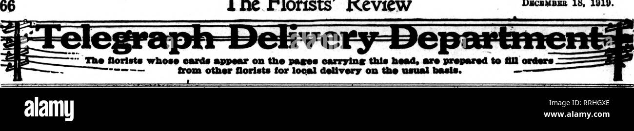 . Fioristi' review [microformati]. Floricoltura. I fioristi^ Review DBCcuBxa 18, 1818. Per San Francisco Bay città e tutta la California Centrale miniiiniiiiiiiniiiiniiiiiiiBiiiiiiimiiiiiiniiMiniiniiimiii iniiitiiiiiiiiiniiiiiiiinmiriiiiiiiiiiiiiiiiiiii: PELICANO, ROSSI &AMP; CO. "  123-125 Kearny Street V / Membri F. T. D. UNEXCELLED offrono strutture per la gestione dei vostri ordini Indice per città di fioristi rappresentata in questo dipartimento città Pm" Aberdeen. S. D. Milady la Fir. Shop. 79 Ada. 0. Mohler's Fir. Shop. 92 AKRON. 0. Hammenehmldt &AMP; Clark 92 Heepe Co 92 MeFarlandt 92 ALBANY. N. Y. Dank Foto Stock