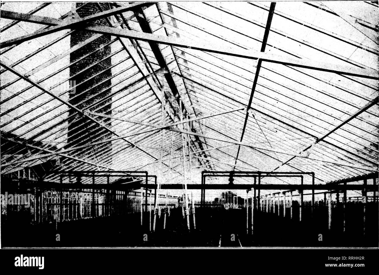 . Fioristi' review [microformati]. Floricoltura. Febhuauy 26, 1920 i fioristi^ Review III mig O o^ n Dt •&GT;Imerican GreenHouj-e Manufacturing Co., Chicago. G H c a t 8 D ft G n c a t Q I D perché sostengono al riguardo? Un fatti nel caso sono così difficili non puoi rompere loro, piegarli, ruotarli o li ordito. Non possono essere tacitati o coperto e se vi voltate su di essi sono ancora lì! Più si prenderà cura del vostro business più il vostro business si prenderà cura di voi. Ma non potete prendere cura del vostro business e giocare imprenditore edile allo stesso tempo. Potrai trascurare né il vostro autobus Foto Stock