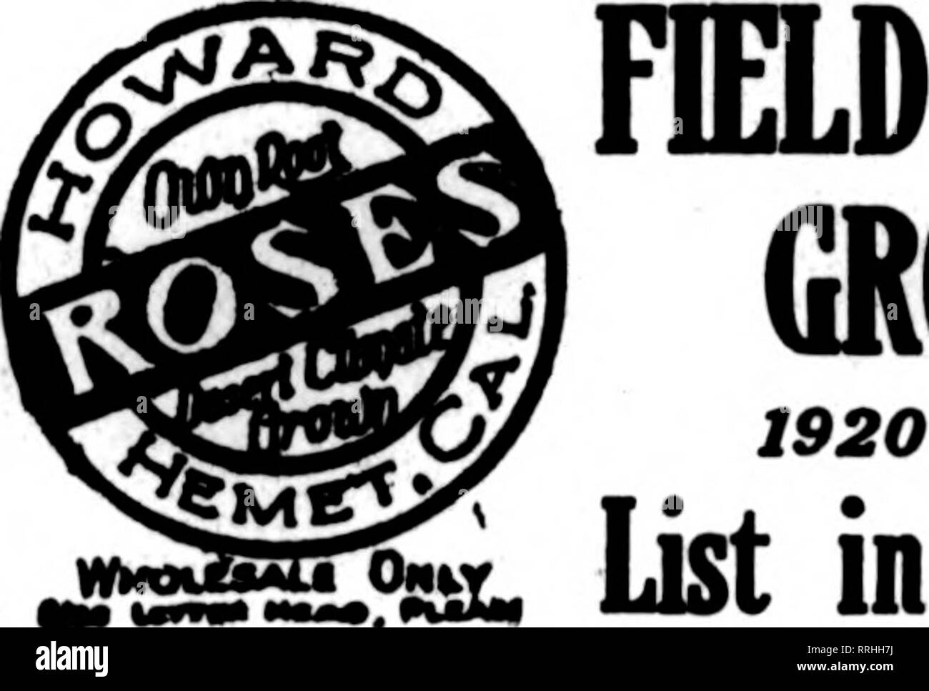 . Fioristi' review [microformati]. Floricoltura. 58 i fioristi^ revisione 22 aprile 1020 felci - Nahonia - Noss sono tutte raccolte dai boschi qui e inviate fresca e pulita, e il più rapidamente possibile. Felci del freno, 1000 S2.50 Felci, Lomaria. 16 a 20 pollici, 1000 2.76, Mahonia aquifolium, molto carina, 1000... S.60 Salal, o Limone selvatico, 26-lb o 60 lb. caso per lb 10 rami di cedro, 14 a 24 pollici per libbra 15 la cicuta rami, di qualsiasi lunghezza, per libbra... .10 Tree Moss, filo balle, così a 40 libbre per libbra. .07 Sphagnum Moss, balle 30-40 libbre per libbra. .07 Lo|{ Moss o foglio Moss, molto carina, per sacco Foto Stock
