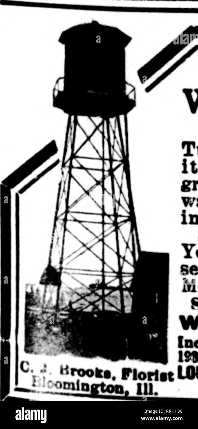. Fioristi' review [microformati]. Floricoltura. Costruito per il sig. R. H. McElwee. Lak" Bluff, III. "La casa delle palme nel centro è 30 m x 9 m. Le due case di ala sono ciascuno 25 x 34 piedi. L'anta in per&LT;"terra formano i tetti di due 7 ft. Ampia fossa case che sono entrati dalla Case di ala. Il Pit Case sono attrezzate con panchine e ventilatori di tetto. Un laboratorio nella parte posteriore è attaccata alla Casa delle Palme da 8 x 10 m. Il collegamento di casa. Foley Serre se grandi o piccoli, privato o commerciale, fornire ai proprietari la massima soddisfazione, piante e fiori meglio-meno un riscaldamento Foto Stock