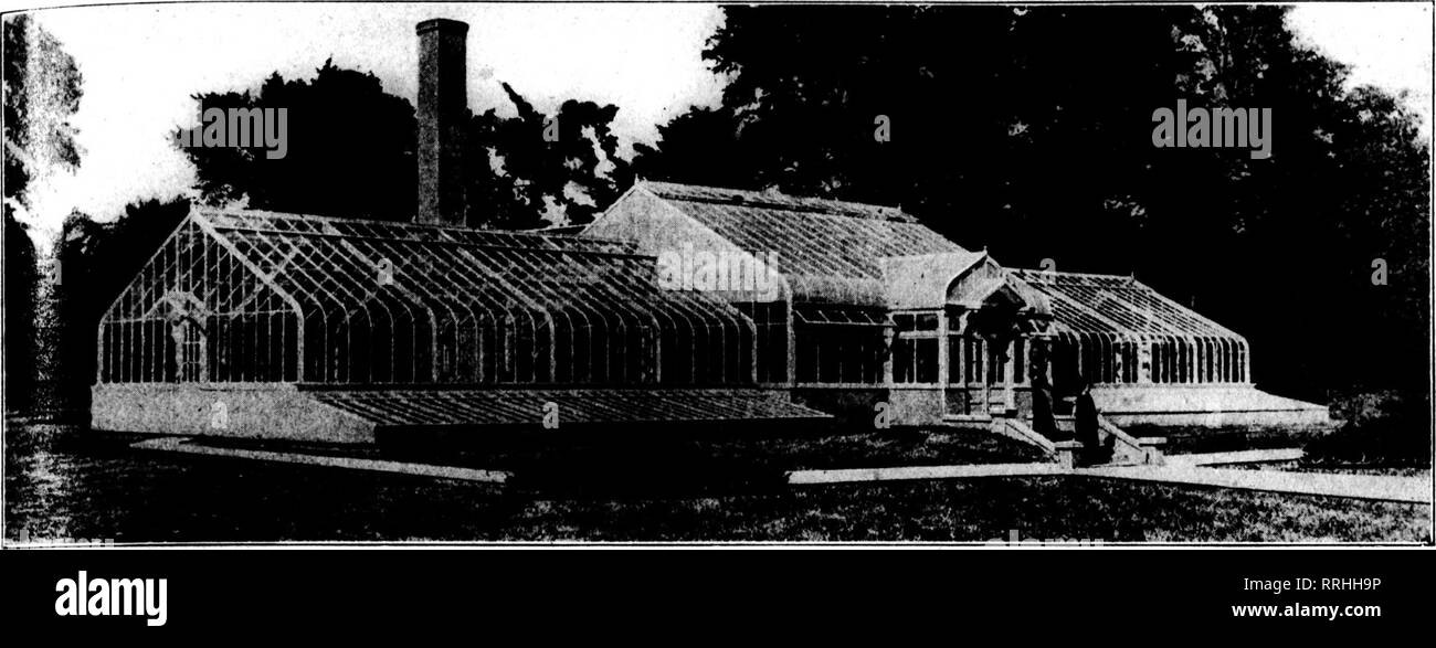 . Fioristi' review [microformati]. Floricoltura. w 13 maggio 1920. I fioristi^ Review 129. Costruito per il sig. R. H. McElwee. Lak" Bluff, III. "La casa delle palme nel centro è 30 m x 9 m. Le due case di ala sono ciascuno 25 x 34 piedi. L'anta in per&LT;"terra formano i tetti di due 7 ft. Ampia fossa case che sono entrati dalla Case di ala. Il Pit Case sono attrezzate con panchine e ventilatori di tetto. Un laboratorio nella parte posteriore è attaccata alla Casa delle Palme da 8 x 10 m. Il collegamento di casa. Foley Serre se grandi o piccoli, privato o commerciale, fornire ai proprietari la più grande misura di satisfact Foto Stock
