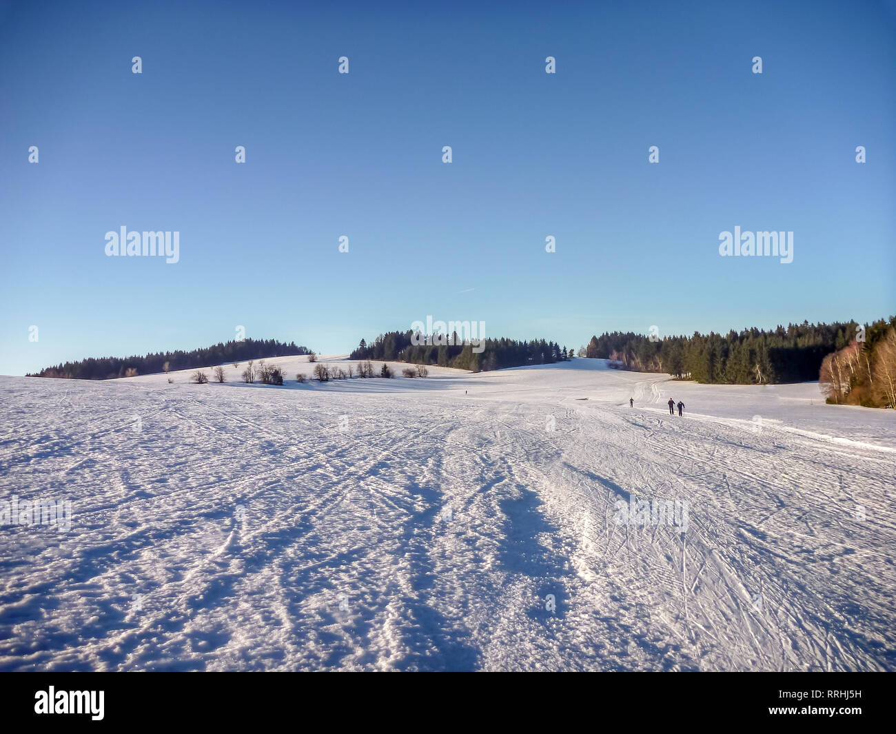 Sci nordico percorsi nei pressi di Nove Mesto na Morave, Czech-Moravian highlands, Repubblica Ceca Foto Stock