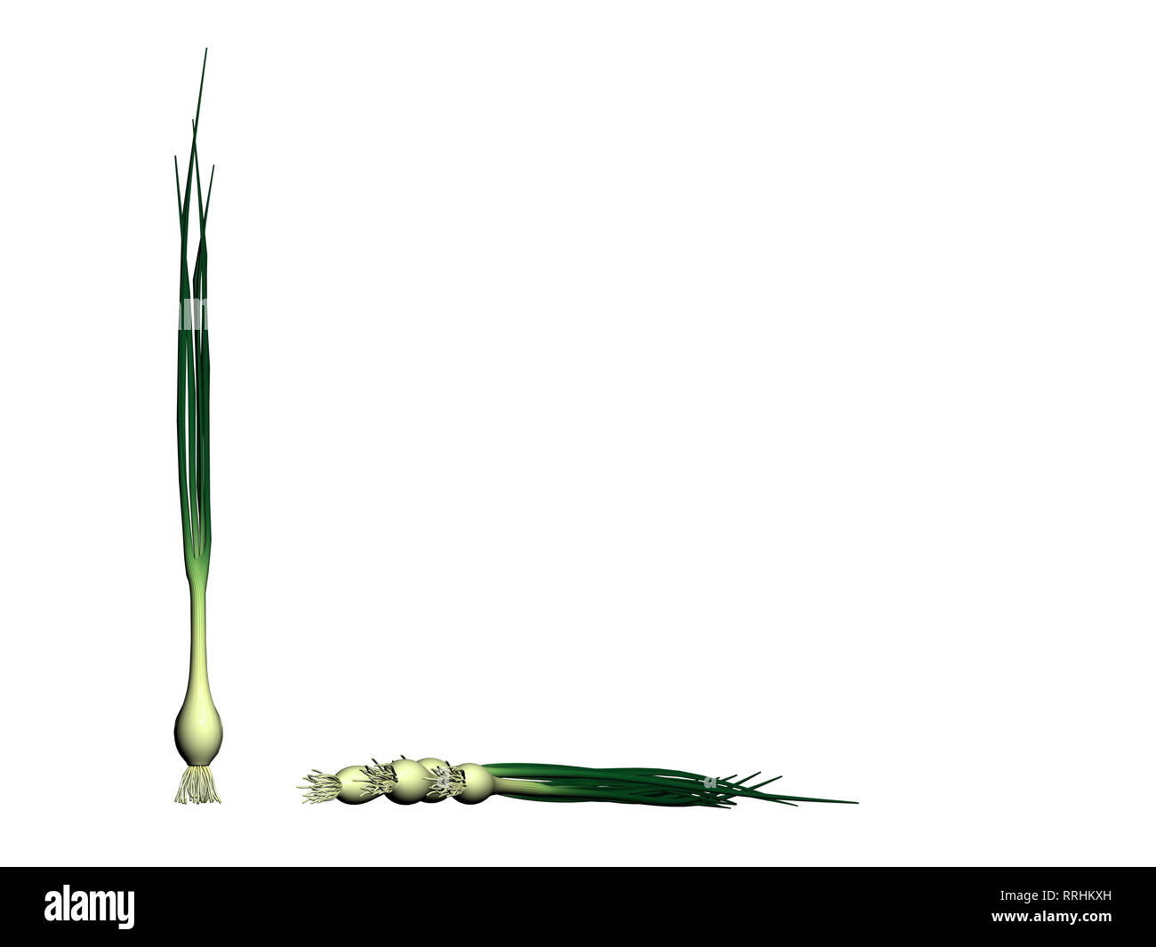 3D render di cipolla verde Foto Stock