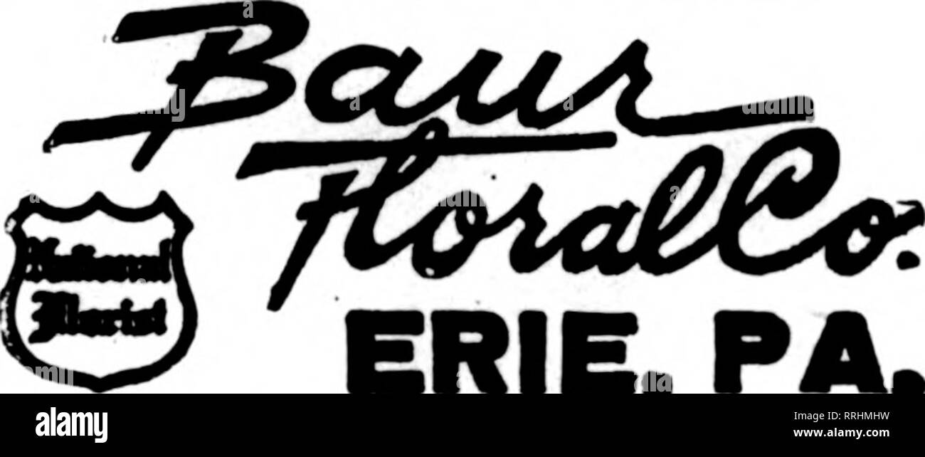 . Fioristi' review [microformati]. Floricoltura. NORFOLK I TELEGRAPH FIORAIO, fortezza Monroe, Va. speciale servizio messenger sopra la città, $1.00 Stati fioristi' Telegrafo Associazione di consegna. UNIONTOWN, PA. "" "STENSON &AMP; McGRAIL,"^^o^'.'^ f II Morgantown Street FRESH HOME-coltivate fiori recisi e piante a tutti i tempi Giles, la lettura Rorist, penna. Gli Stati F. T. D. J. V. LAVER ERIE, PA. Scrivere, telefono orWirei'SSSfrt'KtS,. ERIE, PA. tseli vnone llO-J PITTSTON, PA. MARTHA HUNTLEY HOUSER Membro di F.T. D. 8 Williams Street HUNTINGDON, PA. J. LESLIE LAIRD ??SS,!gKiSf WARREN, PA. Crescent Foto Stock