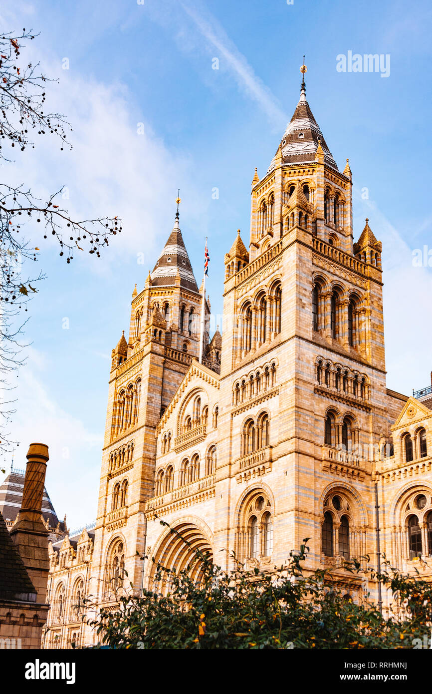 Vista laterale del British Natural History Museum di Londra. Foto Stock