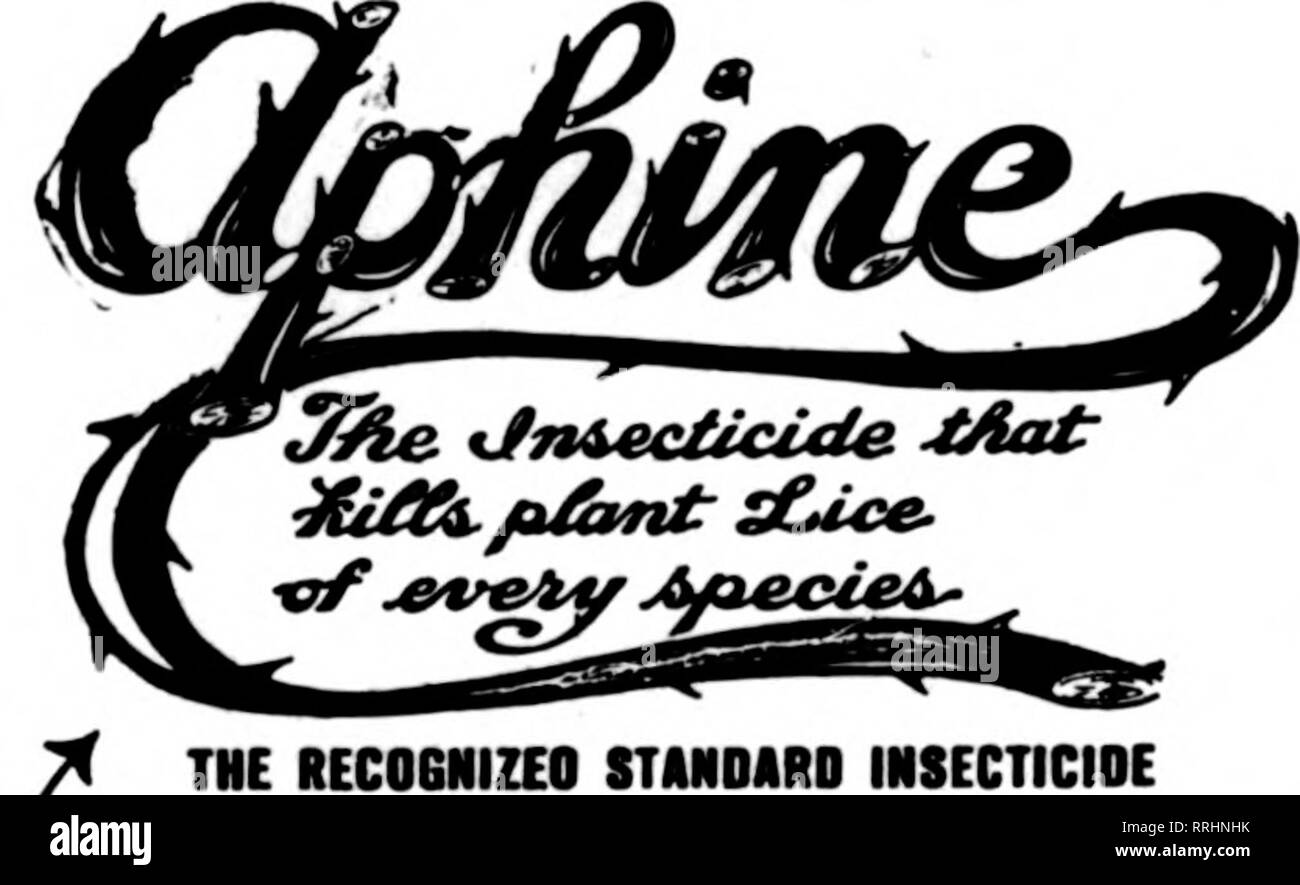 . Fioristi' review [microformati]. Floricoltura. 130 fioristi^ Apeil revisione 1. 1920 FIRSTI SICUREZZA UTILIZZARE LO STANDARD insetticida. Coltivatori di successo si basano su co m F IJ lUI P " tlS:llS:::::::::::::::::::::::::::'*?:SS:?£ ^^ ^^V ^ ? ^^B IWI ^^m Mb. tio 2.0Oeach g iP^ g^,pSSaH^SHi ^^^^^^JgJIg^Bl^M^lBBQ &gt;".Ib. Nazioni Unite 65 ogni 40 per cento effettivo di nicotina per la spruzzatura e la fumigazione di uccidere ..". ^ "" "Nico-rnme" una carta^' P4 ho ^S ^^ IV ^B ^r Fl 'R I P ^S 2888Foglio8 t9.S0 per lo stagno ? ? ? ? ^^^"^ "^ "^ ? ? ? Bm ? ? ^^ I449heet8 B.MpertlB 24 fogli 1,26 per lo stagno PER LA VENDITA DA PARTE DI YO Foto Stock