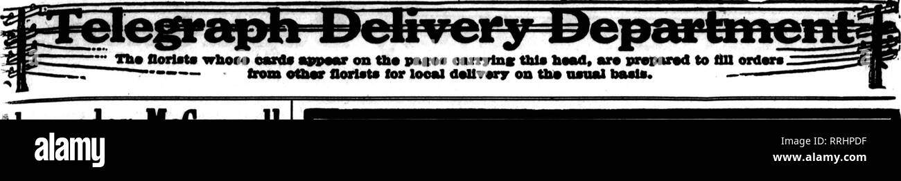 . Fioristi' review [microformati]. Floricoltura. OCTOBEU 11, 1917, fioristi^ Rassegna 49. llexander NcConnell 611 5th Ave., cor di 49ih St NEW YORK CITY Telegraph gli ordini inoltrati a qualsiasi parte del ;iiited membri, in Canada e in tutte le principali i legami d'Europa. Riferimenti o in contanti devono accompagnare tutti gli ordini cm corrispondenti sconosciuto. Indirizzo via cavo ALEXCONNELL GIUSEPPE TREPEL Brooklyn fiorista Larsest SBVBN memorizza MAnr STORK, 884 Lowis Avonn* Telefono 1160 Bedford Brooklyn, N. T. Telegraph ordini consegnati a qualsiasi parte della città di New York. Brooklyn e Long Island. WILSON 8 e 6 Greene sono. 889 A84 3 t Foto Stock