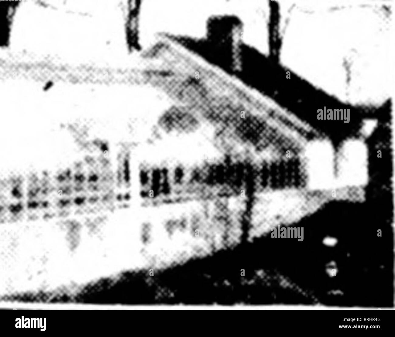 . Fioristi' review [microformati]. Floricoltura. Abbiamo ("."I aiiyvvhcfc in tlio V. S. a s^ihinlt pNiiiw e nella divisione CIEM. Mc€ront&GT;litai)Ma€ericdQ) T.i:i VM'.Ho Fliisliini.' Avf., Hioi.klyn, N. Y. OTTENERE I NOSTRI PREZZI SUL FILO aALVANIZED ROSE picchetti e filo di legatura produttori della pianta modello di supporti per i garofani, dalie, bagliore dorato, Peonie, crisantemi e pomodori. Recinzione di prato, aiuola Guardia, Trellis. IGOE BROS., 266 N. 9 SAN, Brooklyn, N.Y. $ BIG money $ in 6REENH0usare colture utili nella serra business sono più grandi che mai. Cosa fa niatlor se l'originale investnisnt è un trifl Foto Stock