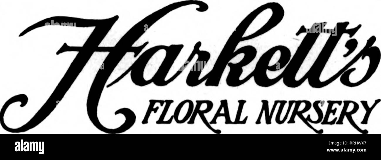 . Fioristi' review [microformati]. Floricoltura. OMAHA, NEB. Alfred Donaghue 1622 Harney Street stabilito isee Omaha, Nebraska Lee L. Larmon Fontenctle F'lorist, 1814 DOUGLAS ST Omaha, Nebraska Ti-kV"n "U "RofV* L'attenta fioraio, lIUIIII n. Ddlll, 1804 FARNUM STREET Stati fioristi' Consegna del telegrafo Hess &AMP; Swoboda, Fiorai telefoni e ISOl L, 1582 1415 Farnam Street. OMAHA, NEB. Lewis Henderson, fioraio 1519 Famum Street. OMAHA. NEBRASKA Stati Florlato' Consegna del telegrafo ass'n fiori per tutte le occasioni.Da *^rsdle alla tomba di Lincoln, Neb. CHAPIN BROS. Retail fioristi KO Foto Stock