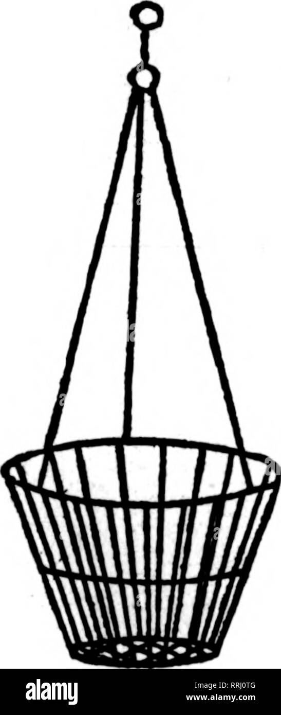 . Fioristi' review [microformati]. Floricoltura. Filo nei cestini appesi ben fatta tipo. Dipinto, legate con filo zincato. 6 alla dozzina di tasso, 50 AL TASSO DI 100 S-pollice a doz. $2.50 per 100 $18.00 20.00 25.00 27.50 35.00 60.00 lO-3,00 pollici 12 pollici 3,50 14-iiich 4.00 16-iiich 5.00 È-incti 7.50 FOGLIO VERDE MUSCHIO lungo, fogli verde per appendere cesti per sacchetto, $1.75; 10 sacchetti, $16.00 C. E. CRITCHELL, È EAST TERZO IL COMMERCIO ALL'INGROSSO FIORAIO Cincinnati^ Ohio Street' " ??? V .C -^ ?,*: &lt; v i I L bello, greeo smaltato, regolabile Supporto vegetale ha un campo di altezza da 26 a b2 pollici e sarà Foto Stock