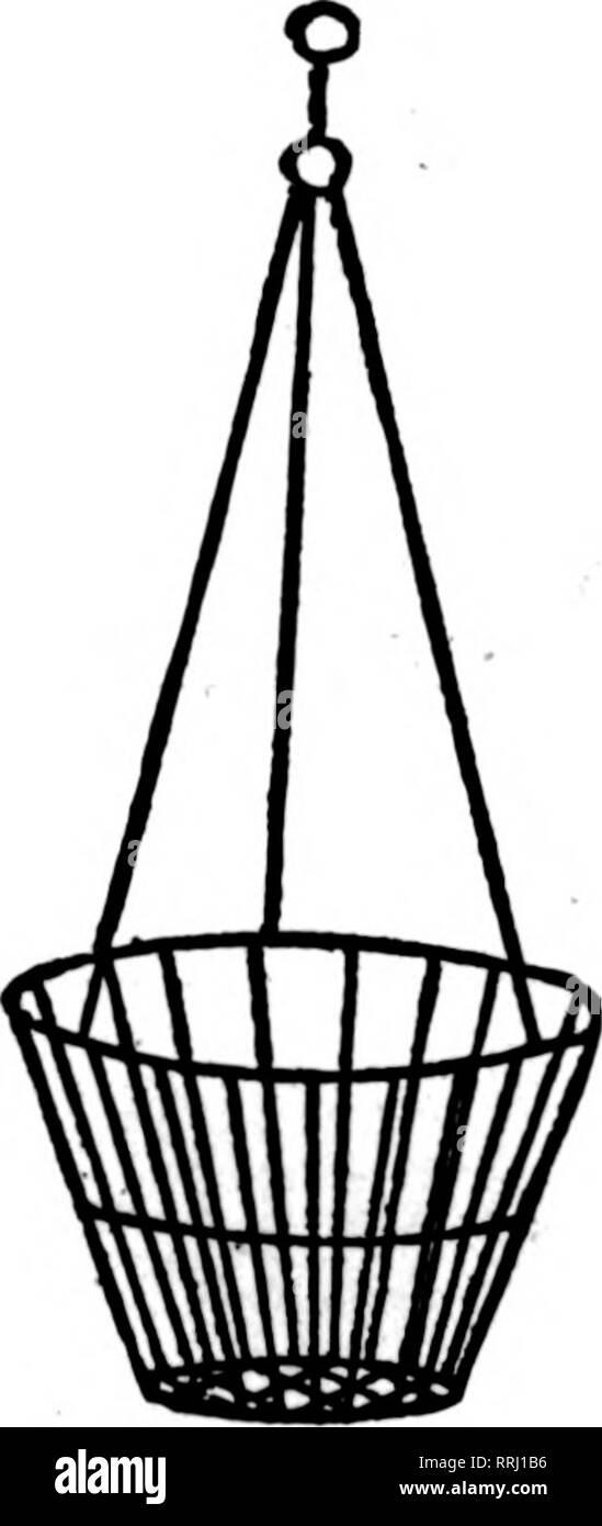 . Fioristi' review [microformati]. Floricoltura. Cestello in filo metallico e perché realizzato in filo zincato e crimpato. Una più stretta in presa per tenere moss migliore e meno di essa. Robusto e forte. "Dimensione ogni Doz. 8 pollici $0.26 $2.60 10 pollici 30 3.00 }2 pollici 35 3.50 i4 pollici 40 4.26 je-jnch 50 6.00 lo-pollice 60 6,26 lastra fresca Moss, sottili fogli di grandi dimensioni, $2.00 per sacchetto. Foglio tinto Moss, $3.50 per sacchetto. C. C. POLLWORTH CO. MILWAUKEE, WIS. Menzionare il Heview quando yon scrivere. Filo appeso Basiiets u. No. 1 Dimensioni per 100 10 pollici $14.00 12 pollici 16,25 14 pollici 23.00 16 pollici 26.00 chiedere per il nostro ultimo Listino Prezzi mostra Wirework sconti Foto Stock