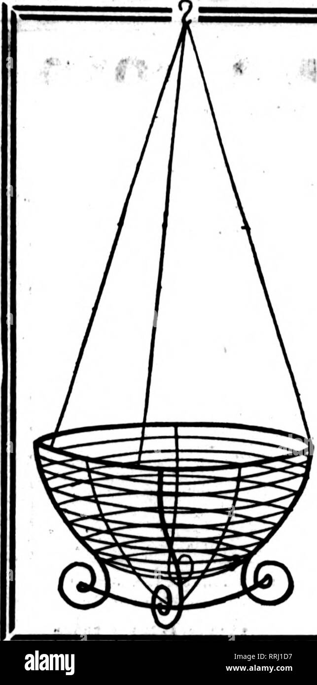 . Fioristi' review [microformati]. Floricoltura. 80 La Flo!?sts' ^^evi^vi/ IfAT 8, 1919;. 3)B filo nei cestini appesi non è dei più economici ma il miglior fatto bene la natura. Dipinto, Legato witli filo zincato 6 alla dozzina di tasso, 50 a 100 rate 8 pollici..; per dozzina, $1.76; 10 pollici " 2,25; , 12 pollici " 2,76; 14 pollici... " 3,60; 16 pollici " 4,50; 18 pollici " 6.00; prezzi su dimensioni maggiori nei cestini appesi quotati su applicazione. per 100, $13.00 16.00 19.00 26.00 30.00 46.00 lungo verde fogli per cestelli appesi foglio verde muschio per fascio $0.75 per sacchetto $1.00 prezzi su grandi quantitativi quotati su Foto Stock