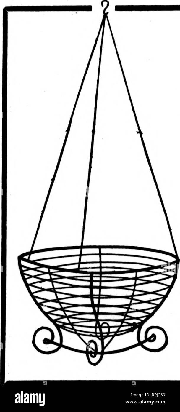 . Fioristi' review [microformati]. Floricoltura. 48 L' Rorists Apbil Revisione 8, 1820 Il filo nei cestini appesi ben fatta tipo. Dipinto, legate con filo zincato. 6 alla dozzina di tasso. 60 A 100 tasso. 8 pollici per doz. $2.60 per 100 $18.00 20.00 26.00 27.60 36.00 60.00 lO-3,00 pollici 12 pollici 3,60 14 pollici 4,00 16 pollici 6.00 18 pollici 7.60 FOGLIO VERDE MUSCHIO lungo, fogli verde per appendere cesti per sacchetto, $1.75; 10 sacchetti, $16.00 C. E. CRITCHELL, ™^^SS^s¥^" Cindnnali, Ohio 15 EAST Third Street. Si prega di notare che queste immagini vengono estratte dalla pagina sottoposta a scansione di immagini che possono essere state migliorate digitalmente per leggere Foto Stock