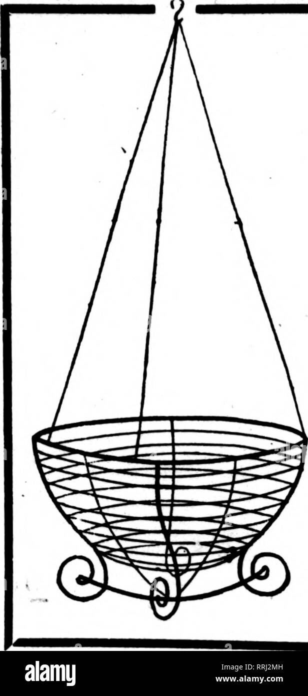 . Fioristi' review [microformati]. Floricoltura. T •.•.*T- &lt;".?; -^ Fbbbuabx 12, 1920 i fioristi^ Review 101. Filo nei cestini appesi ben fatta tipo. Dipinto, legate con filo zincato. H a dozzine di tasso, 50 AL TASSO DI 100 S-pollice a doz. $2.00 per 100 $15.00 17.00 22.00 25.00 30.00 45.00 10 pollici 2,50 12 pollici .3.00 14 pollici 3,50 16 pollici 4,50 18-iiich (i.OO FOGLIO VERDE MUSCHIO lungo, fogli verde per appendere cesti per sacchetto, $1.50; 10 sacchetti, $14.00 C. E. CRITCHELL, ""^ÉLYSÉES^s¥*" Cincinnati, Ohio, 15 East Third Street Galax foglie. Si prega di notare che queste immagini sono estratte da scann Foto Stock