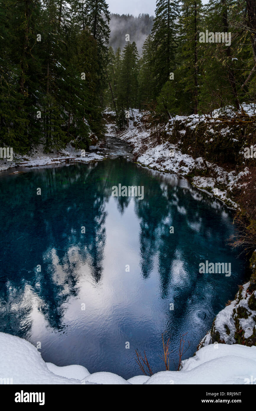 Piscina Blu riflessioni lungo il fiume Mckenzie in una foresta di Oregon Foto Stock