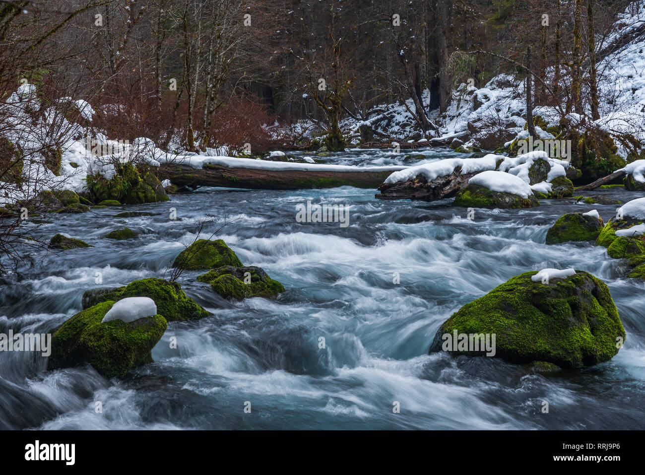 Mckenzie fiume che scorre intorno mossy coperta di neve rocce Foto Stock