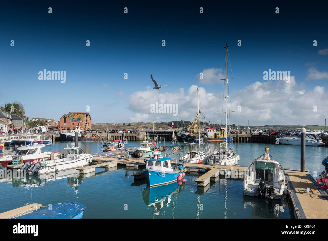 La molla di sole e cielo blu su yacht e barche da pesca ormeggiate nel porto di Padstow sulla North Cornwall coast. Foto Stock