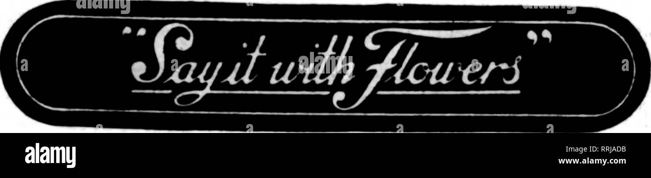 . Fioristi' review [microformati]. Floricoltura. io no. 2 Adesivo. No. Etichetta 1 n. 3 Adesivo adesivi S I n. 1, $1.S0 per 1000 . No. 2, 1,25 per 1000 | No. 3, 1,00 per 1000 utilizzarli sul tuo packagres, scatole | e lettere I § I j timbro di gomma ^SjoifJtw^yjoweri^ 20 centesimi ogni f 5 9 Vxwuwith^loweri qualunque sia l'occasione - una nascita, morte, una gioia e un dolore : è possibile meglio dimostrare il vostro piacere o la simpatia dicendo con i fiori Fiori inviato da filo ovunque. Ci sono vicino a voi come il vostro telefono. ^^ MRS. PEARL Fiandre fioraio Ann Arbor. MICH. "Fu/wjiwdn^loweri tessere 3 s B S 5 5 200 $ 1.25 ho 500 2 Foto Stock