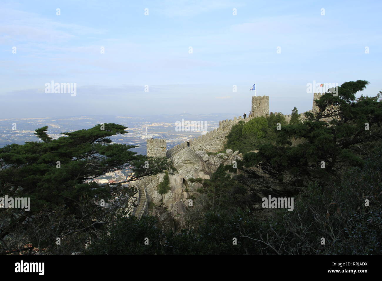 Delle mura del castello e gli alberi, il Castelo dos Mouros, Sintra, Portogallo Foto Stock