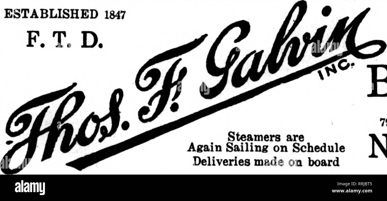 . Fioristi' review [microformati]. Floricoltura. Noi portiamo il grado più alto di fiori recisi di INVIARCI LA VOSTRA NUOVA YORK ordini adiacente a spettacoli teatrali e distretti Hotel Oriente arancio, N. J. O / George Smith &AMP; figli O 657 Main Street east ORANGE ^% ^ Maplewood, Glen Ridge ^ •nd Bloomfield ^C W" un situato nel centro Q ^^ di questi citiea NEWARK, N. J. PHILIPS BROS. 938 BROAD STREET membri F. T. D. Tutti medio ardesia e Seashore NEW JERSEY punti un 1 nordest della Pennsylvania città sono facilmente raggiungibile da TRENTON MARTIN C. RIBSAM, fioraio stati F. T. D. Ampio e anteriore Sts. Stroudsburg, Pa. Boonto Foto Stock
