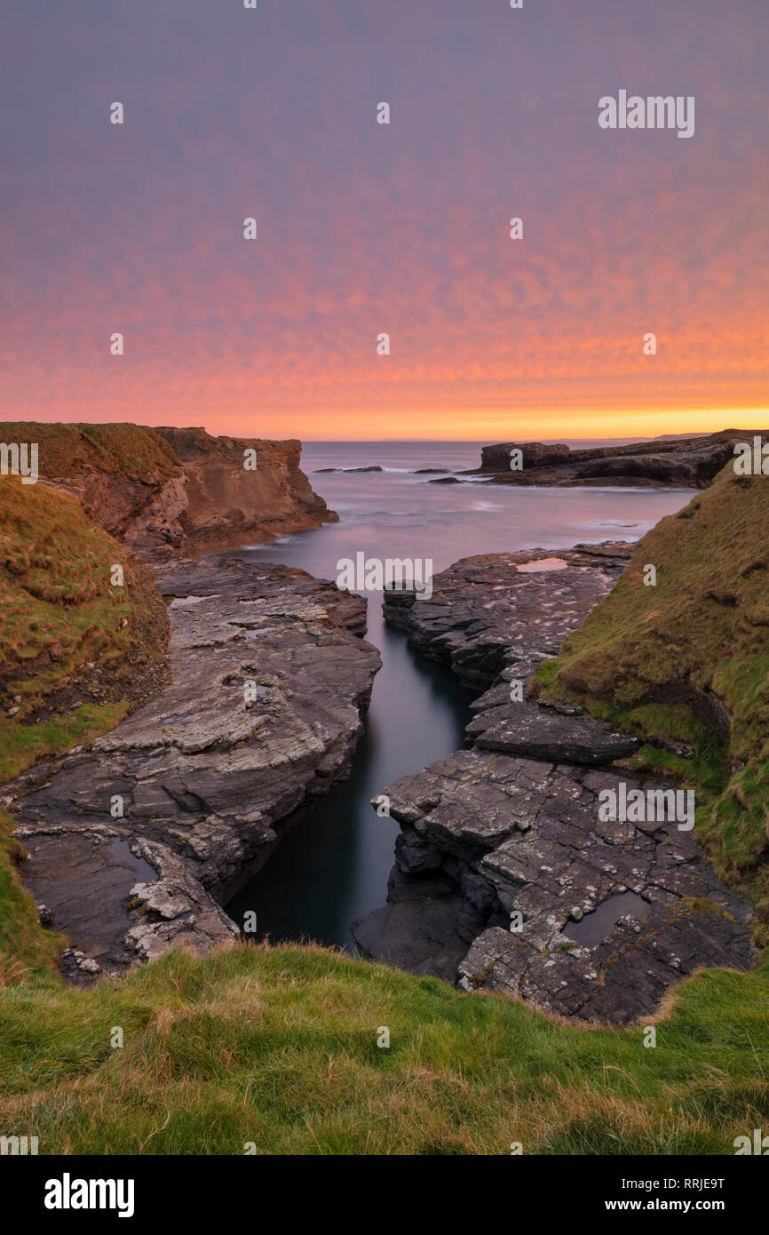 Ross, Loop di testa, County Clare, Munster, Repubblica di Irlanda, Europa Foto Stock