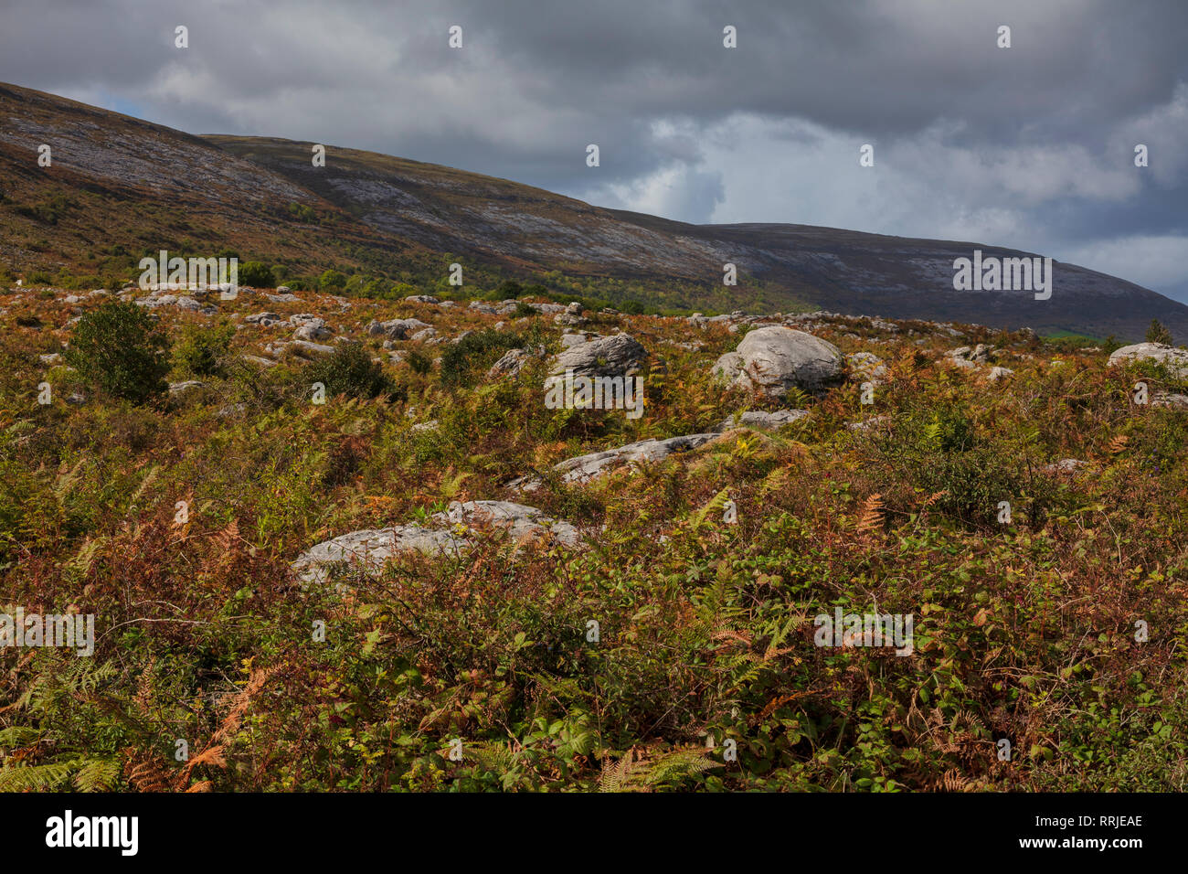Slieve Elva, Burren, County Clare, Munster, Repubblica di Irlanda, Europa Foto Stock
