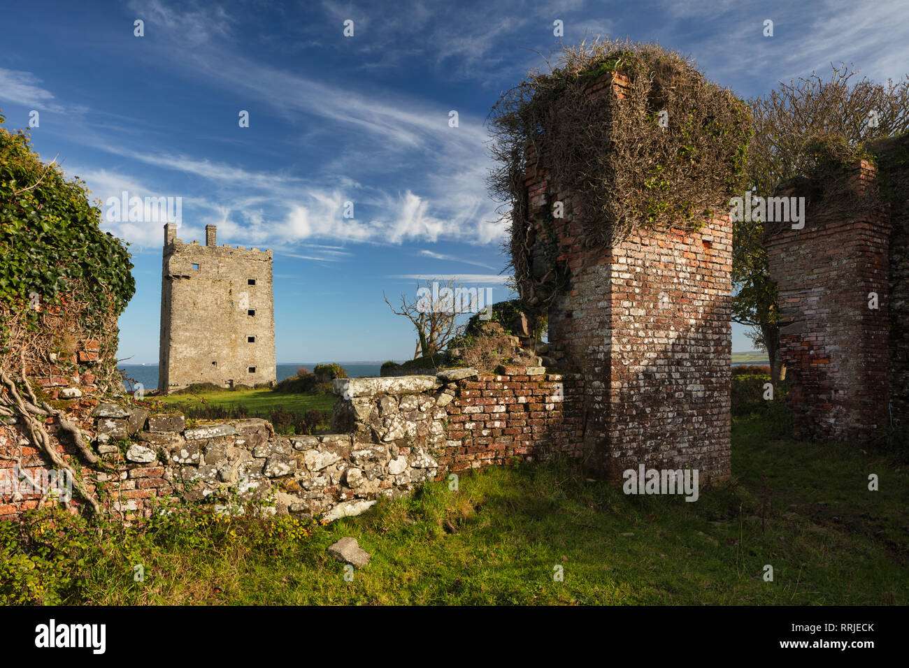 Il castello di Carrigaholt, County Clare, Munster, Repubblica di Irlanda, Europa Foto Stock