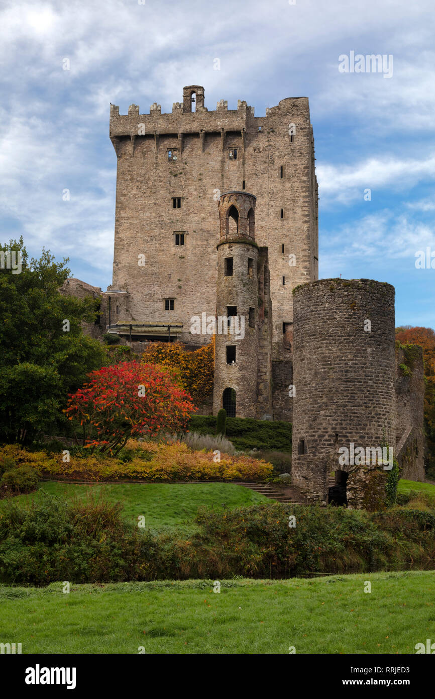 Bunratty Castle, nella contea di Cork, Munster, Repubblica di Irlanda, Europa Foto Stock