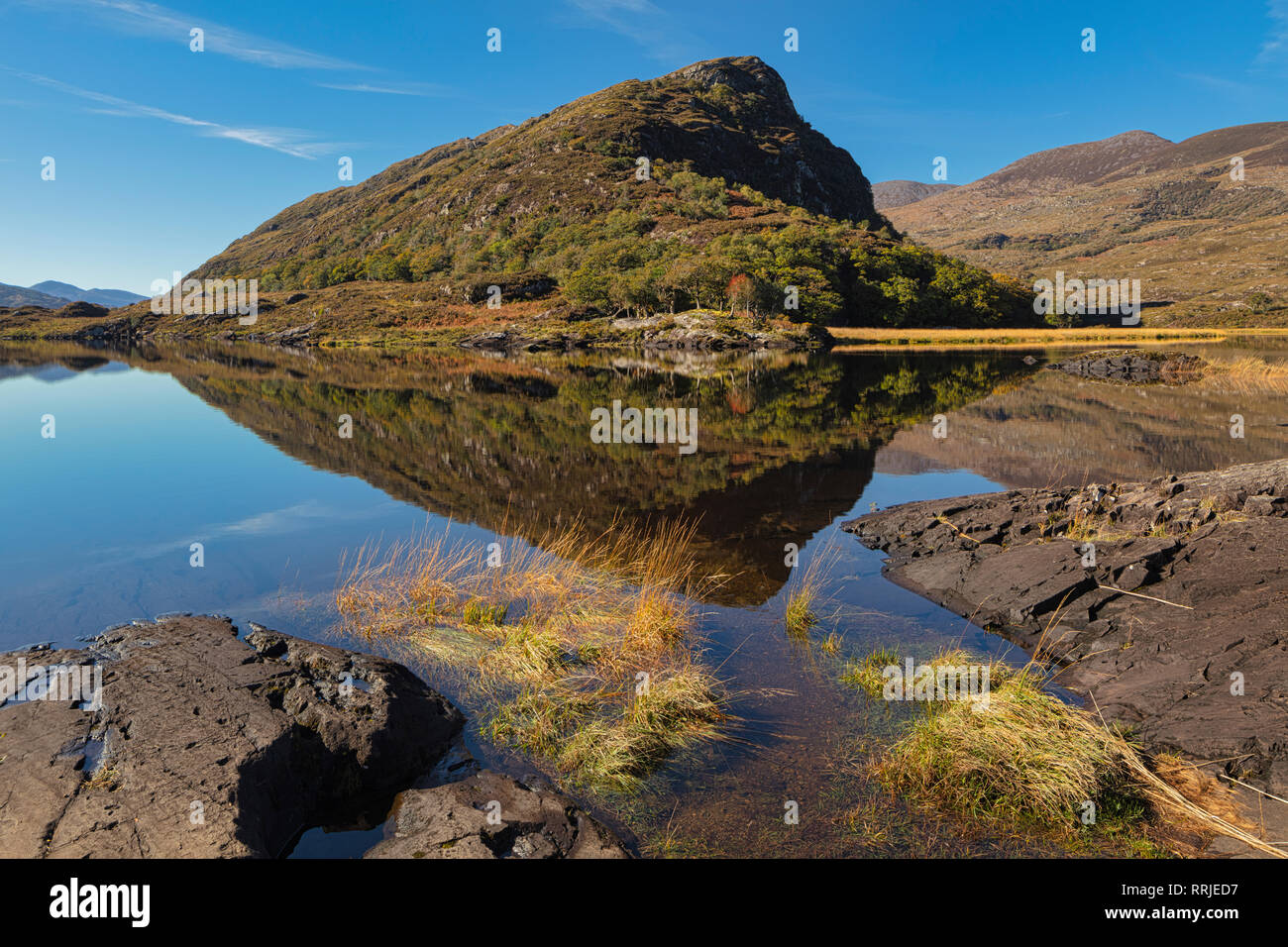 Il Gearagh, County Cork, Munster, Repubblica di Irlanda, Europa Foto Stock