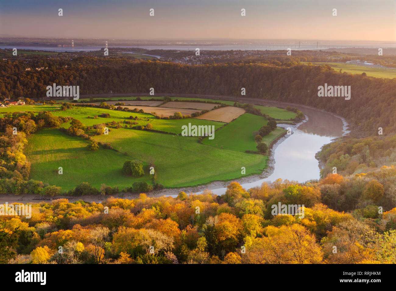 Wyndcliff superiore, fiume Wye e Severn Estuary, Wye Valley, Monmouthshire, Wales, Regno Unito, Europa Foto Stock