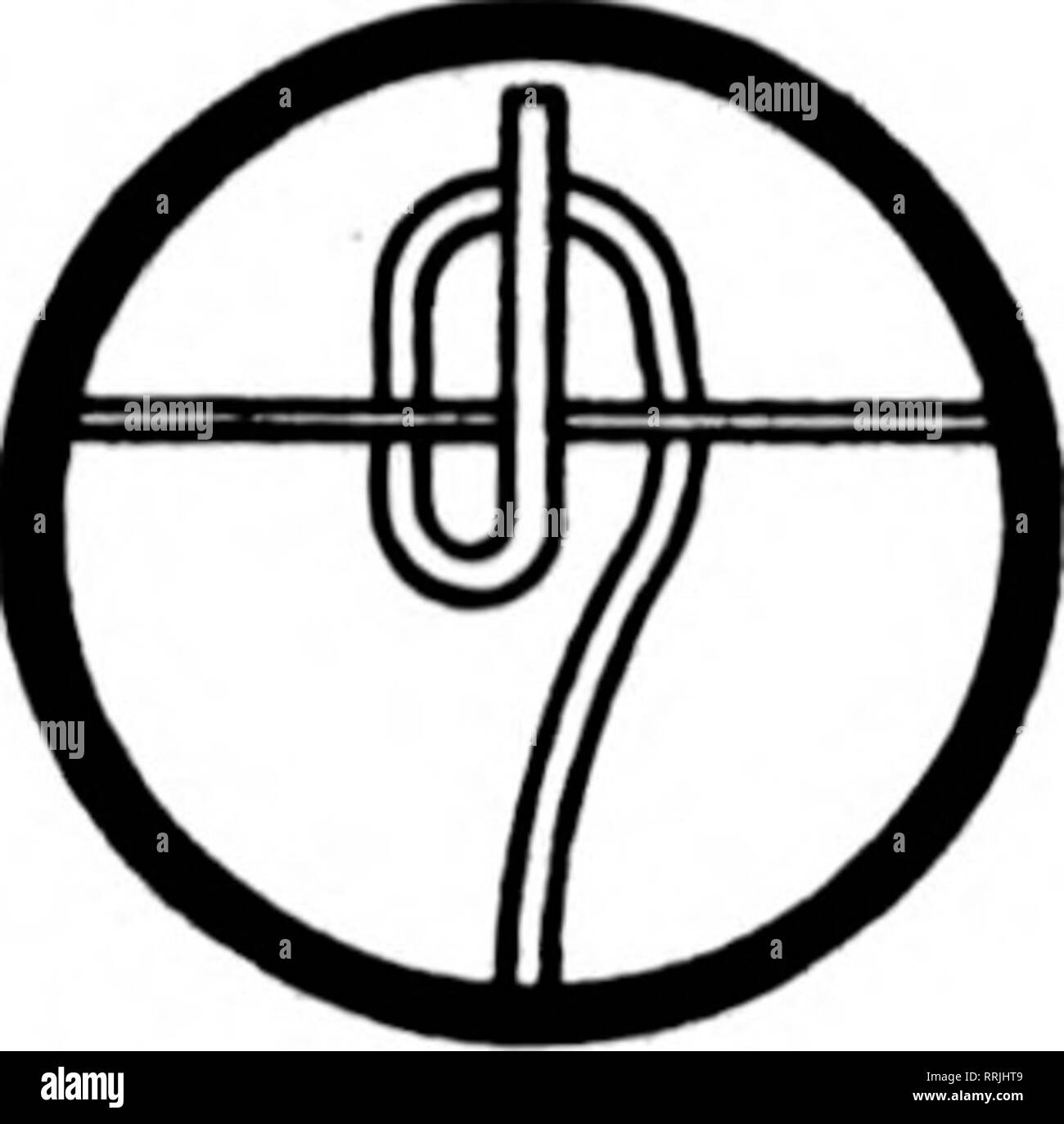 . Fioristi' review [microformati]. Floricoltura. BLAKK LfCVER del CLIP per KoHeR. rarnntioiin. ecc.: fas- dieci stakeH. croHH -fili, ecc. Non hanno mai slittamento e un grande sav- ing sia di tempo che di denaro. Prezzo, $1.B" per lOOO 5.000 $1.36 per 1000 10000 1.Se per ogni k'OO consegnati gratuitamente. Campioni gratuiti. B. S. BLAKK &AMP; figlio 369 Flower City Park, Kochestei-. N. Y. OTTENERE I NOSTRI PREZZI SUL FILO aALVANIZED ROSE PICCHETTI E FILO TYINQ produttori della pianta modello di supporti per i garofani. Dalie. Gojden Glow. Le Peonie. Crisantemi e pomodori. Prato recinto, letto di fiori di protezione. Trellia. IGOE BROS., 266 N. 9 SAN, B Foto Stock