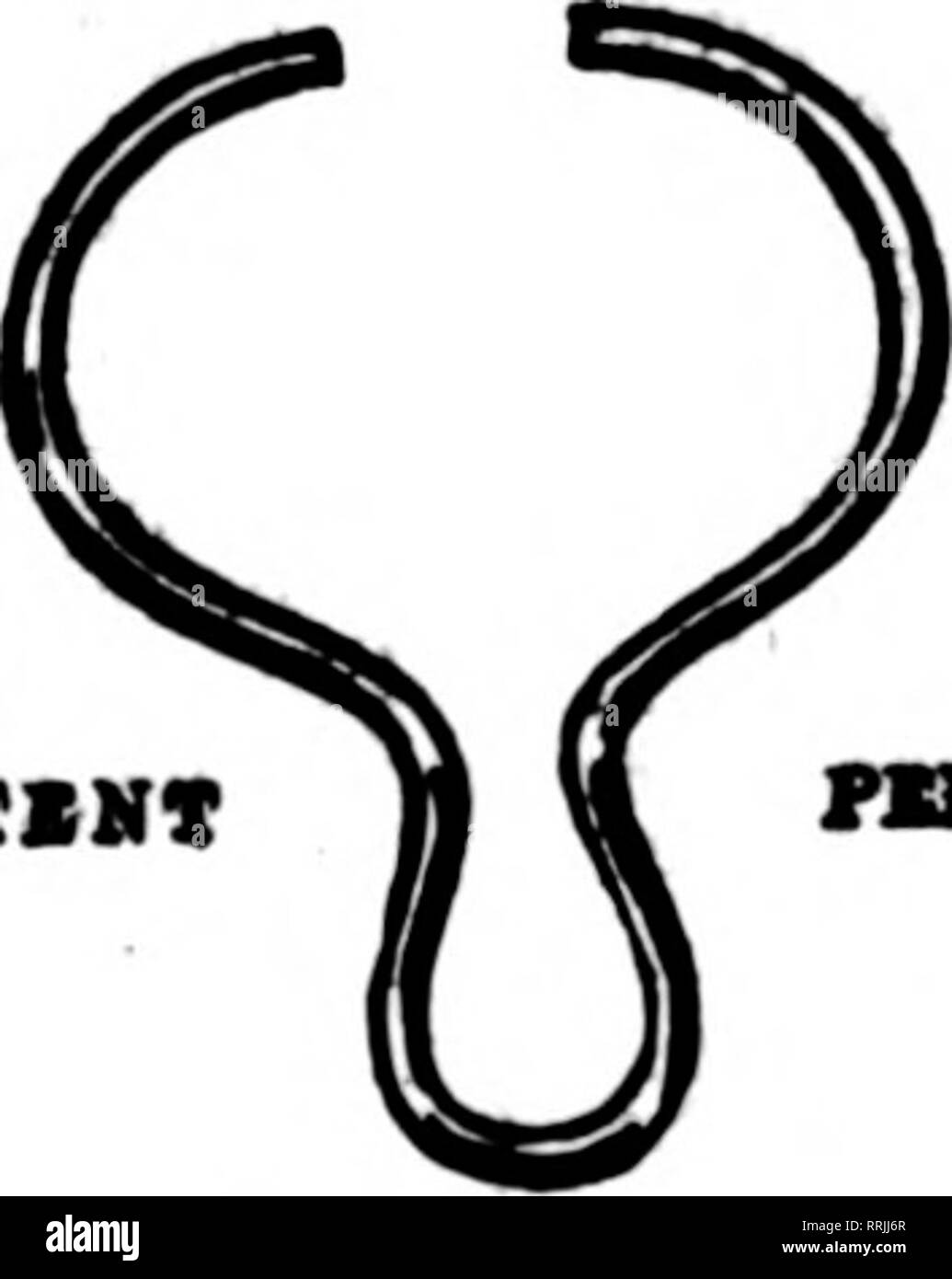 . Fioristi' review [microformati]. Floricoltura. ^Il più economico alla vernice di Bay è il servizio longeBt vernice. Manodopera per la riverniciatura è più coetly rispetto alla hieher prezzo richiesto per il miglior vernice protettiva. DIXON SiNca-Graahita vernice per oltre 60 anni ha mantenuto il rec- ord di beinir il servizio più lungo la vernice. Opuscolo n. 64-B. Realizzati in Jersey City, N. J., da Joseph Dixon crogiolo Comaany Establigl de l)-27 AJwayji menzionare i fioristi' Revisione quando wtiting inserzionisti. Il sig. coltivatore. Let's conoscere PAZINt PIHDUN} è di tuo interesse per inviare per e provare '^filo tirante.'' è un lavoro di s Foto Stock