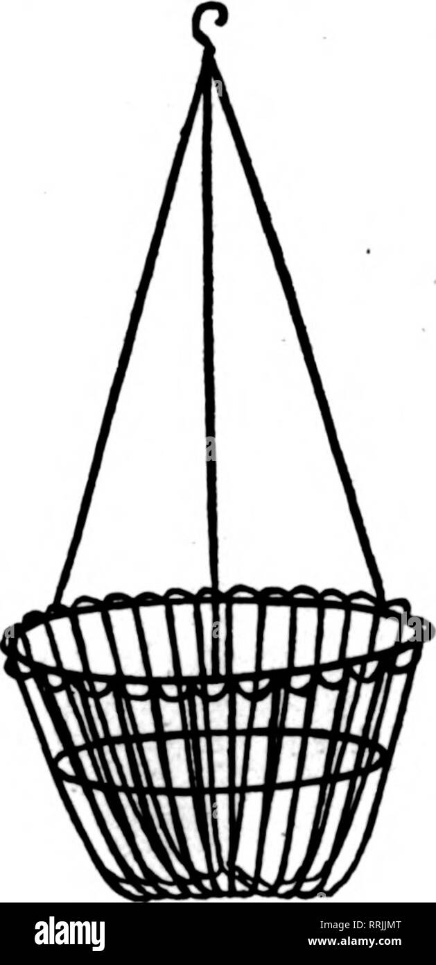 . Fioristi' review [microformati]. Floricoltura. No. 1 Dimensioni per 100 10 pollici $14.00 12 pollici 16.2s 14 pollici 23.00 16 pollici 26.00 chiedere per il nostro ultimo Listino Prezzi mostra Wirework sconti e nuovi prezzi bassi su materiali.. No. 2 Dimensioni per 100 LO-inch $16.26 12 pollici 20.00 14'26.00 pollici 16 pollici 81.00 B. E. E J. T. COKELY tutto in Floricts* materiali di consumo. 201 North Seventh Avenue, Establlslied 22 anni SCRANTON, PA. Menzionare il riesame quando scrivi. Beaven*s Fadeless Moss lO-Ib. La BAA:. $8.50 naturale foglio verde muschio lO-lb. Bas. $1.78 E. A. BEAVEN, Evergreen, Ala. sesta città WOXKS WntE Mmuutmstvufn di WIREF Foto Stock