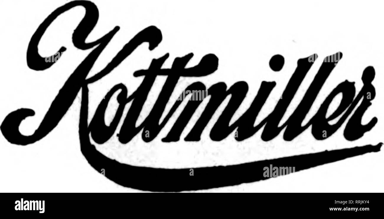 . Fioristi' review [microformati]. Floricoltura. Stxoudshurg, Pa. Dover, N. J. Hackettstown, N. J. Store in ogni città. Fiori freschi dalle nostre serre. Consegna immediata tutte le Est della penna. e nord del New Jersey. RTBDirV n&GT;^." Stati fioristi* niJUUl/ll, ilOnSC Telegraph consegna Red Bank, N. J. W. W. KENNEDY &AMP; figli fioristi membri F. T. D. 41 BROAD STREET tutti medio Stato e Seashore NEW JERSEY punti e nordest della Pennsylvania città sono facilmente raggiungibile da TRENTON MARTIN O. RIBSAM. Fioraio Stati F. T. D. Ampio e anteriore Sts. Summit HARRY 0. Maggio, [*^ * * titolare nuovo Jers Foto Stock